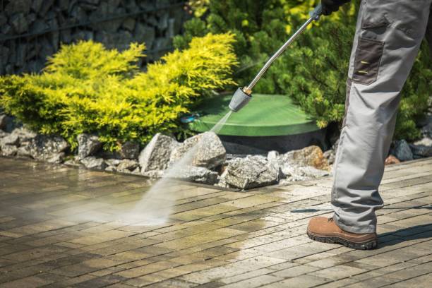 Best Animal Enclosure Cleaning  in Greendale, WI